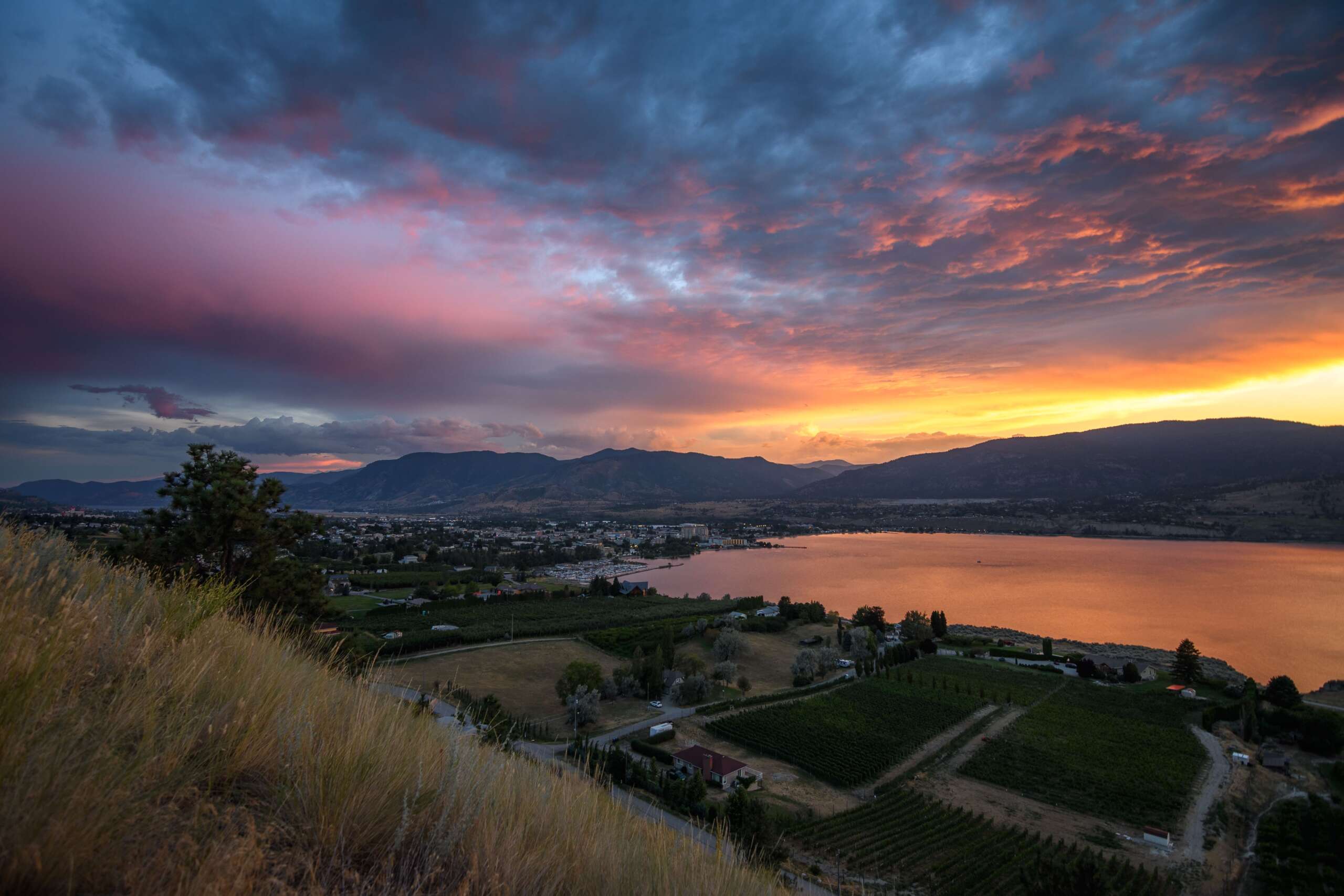 Surrey to Penticton Moving